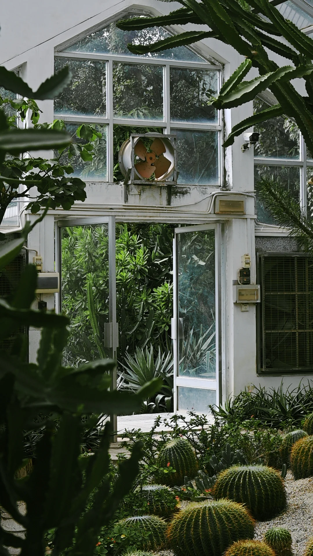 南宁｜🍃醒时见绿