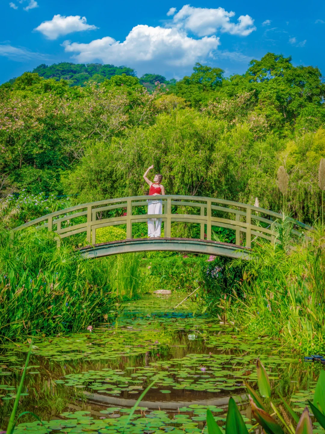 南宁青秀山最美季节！4小时不累腿路线来啦