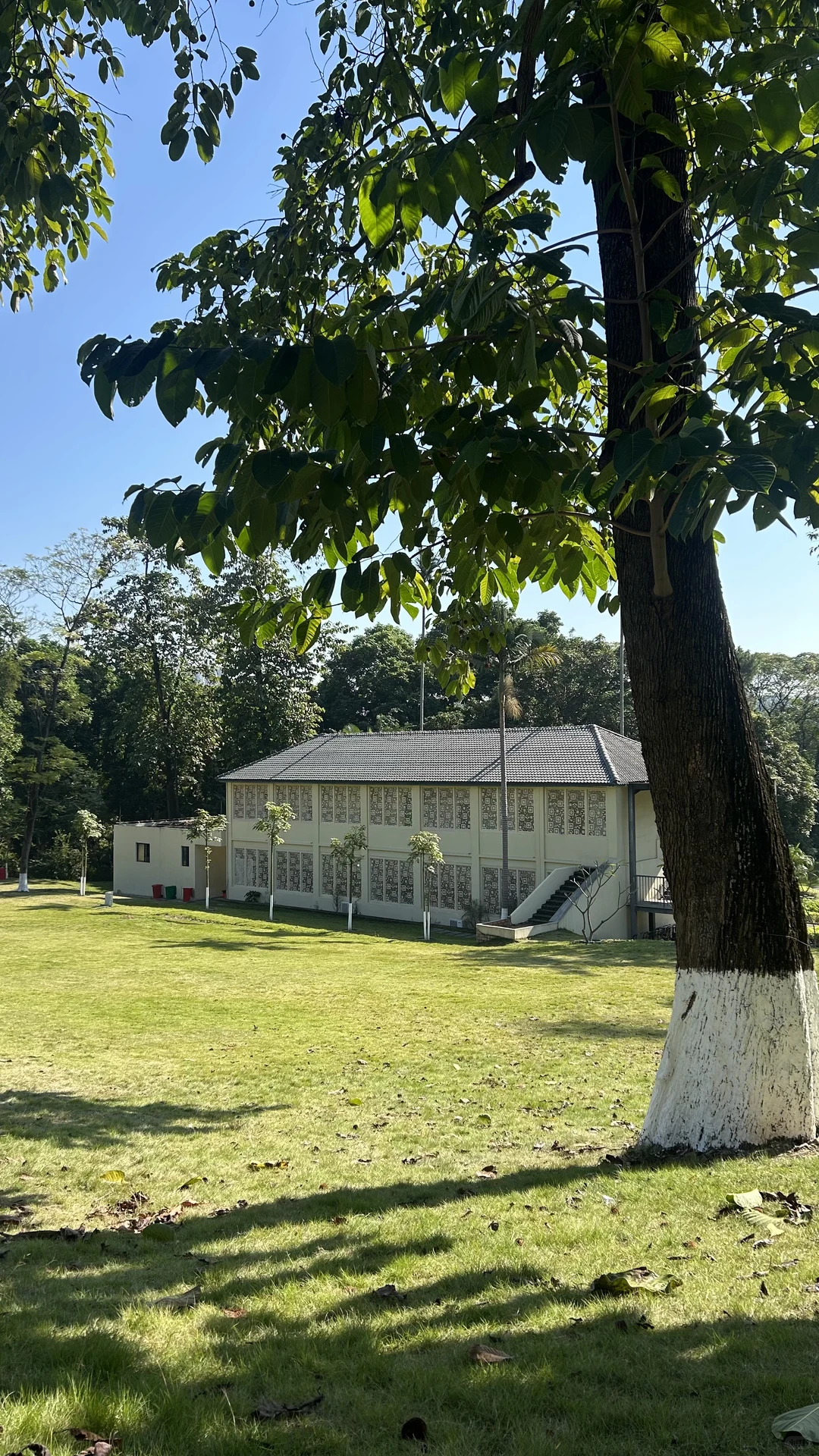 南宁这么好的天气该出去逛逛啦