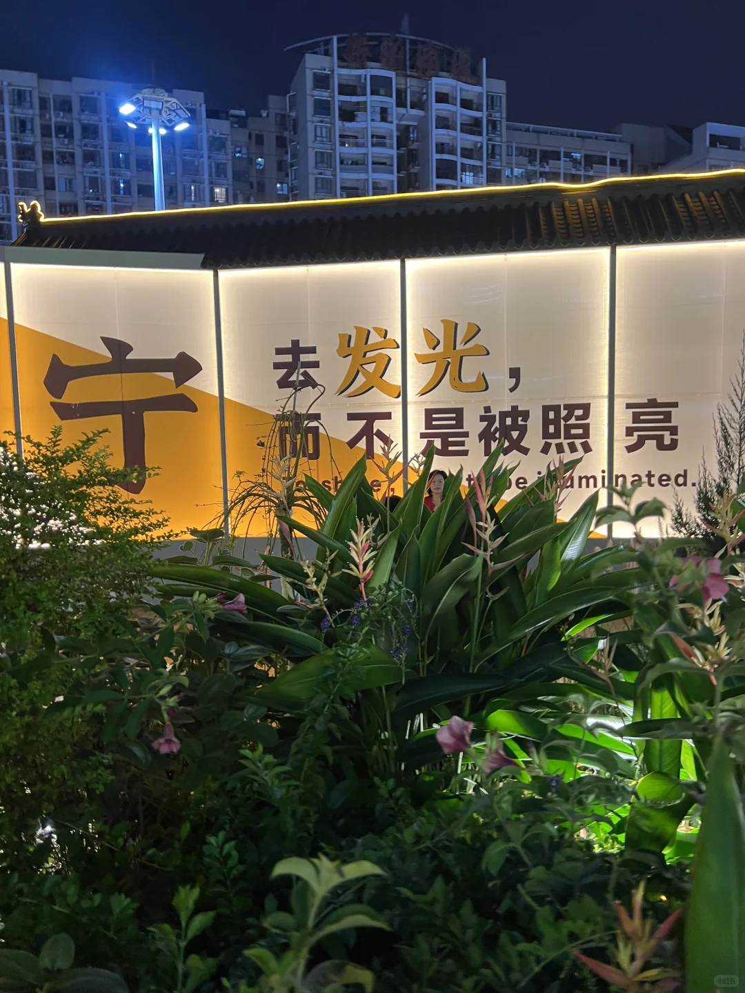 南宁新建打卡地