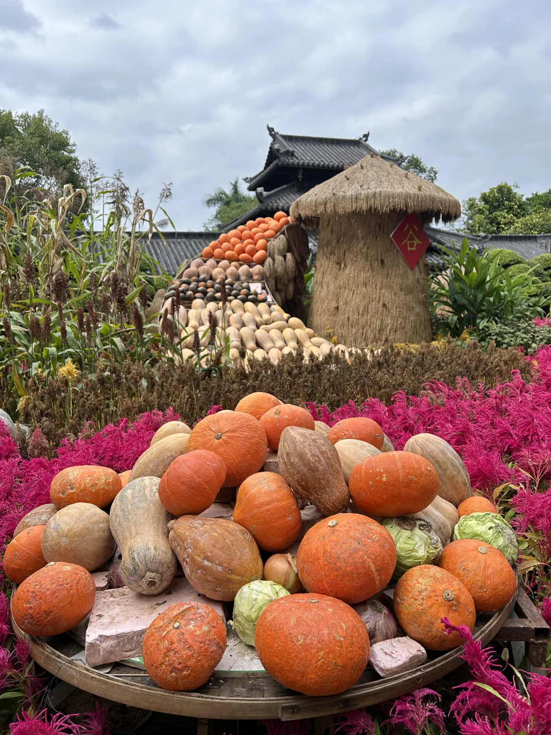 南宁要进入最佳赏味期了