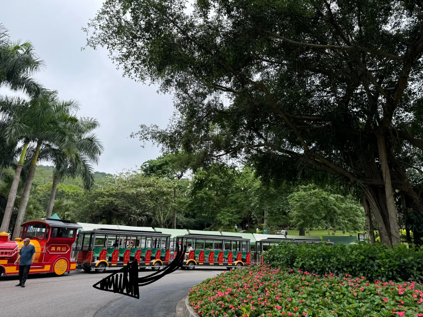 有多少人来青秀山是为了这张📷