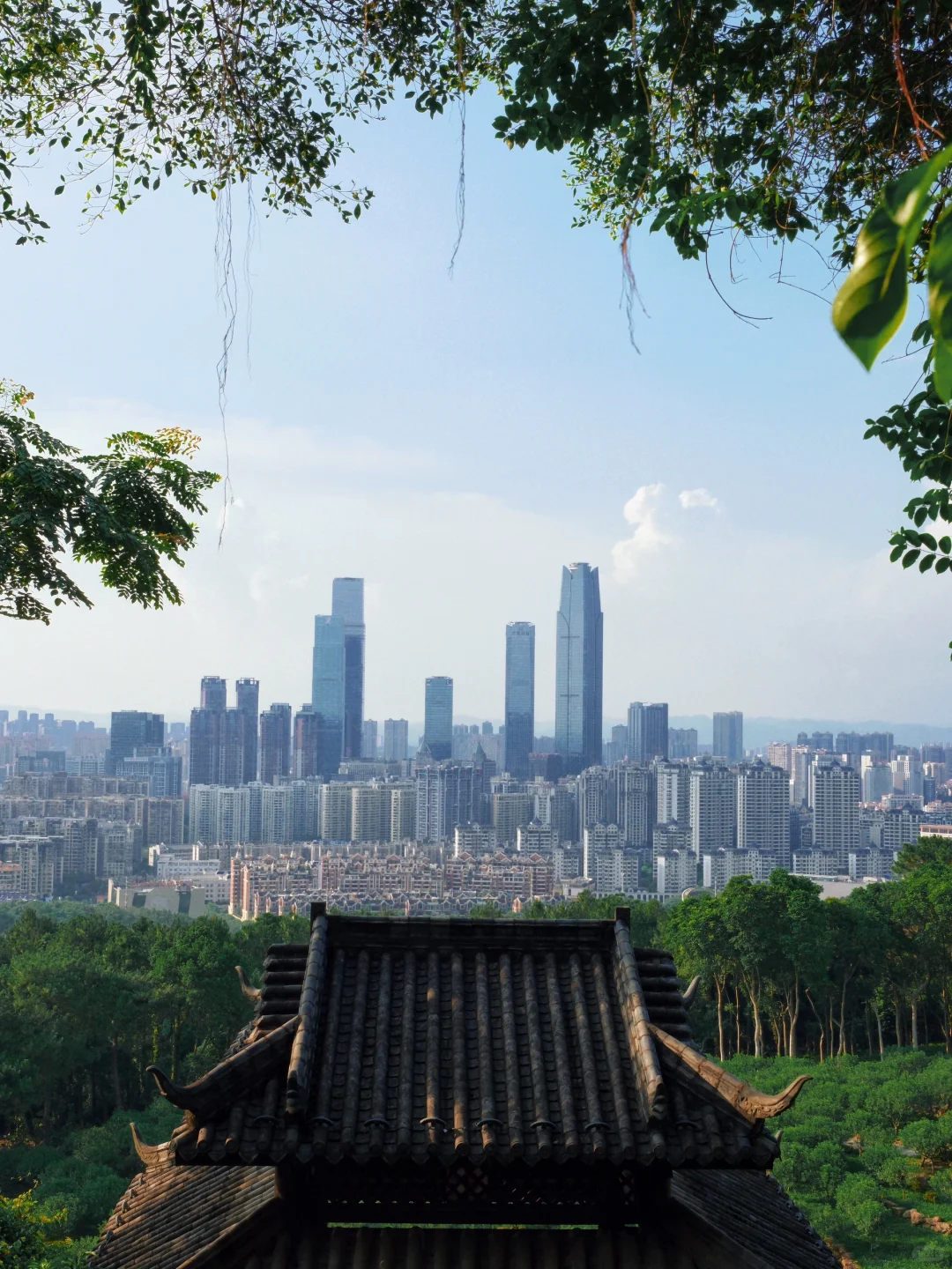 南宁旅游 | 被严重低估的宝藏首府