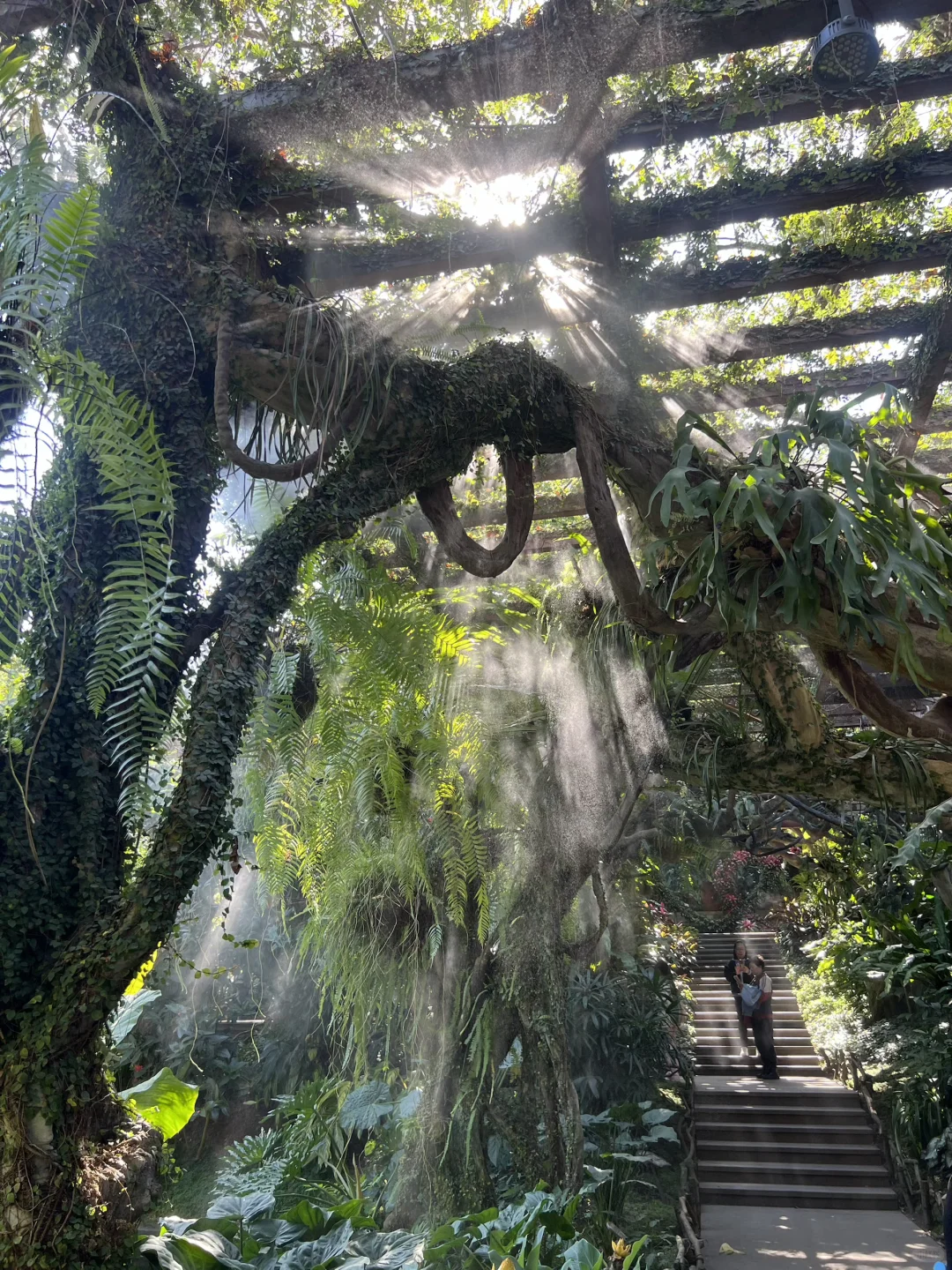 南宁青秀山最美季节！4小时不累腿路线来啦