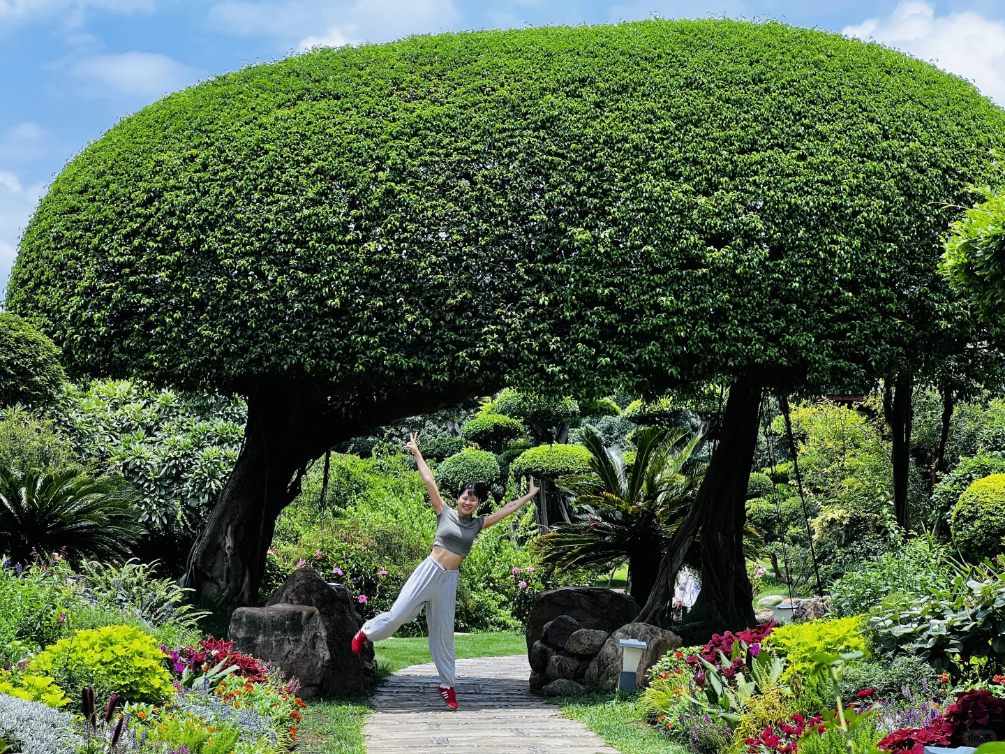 南宁的园子我太喜欢了