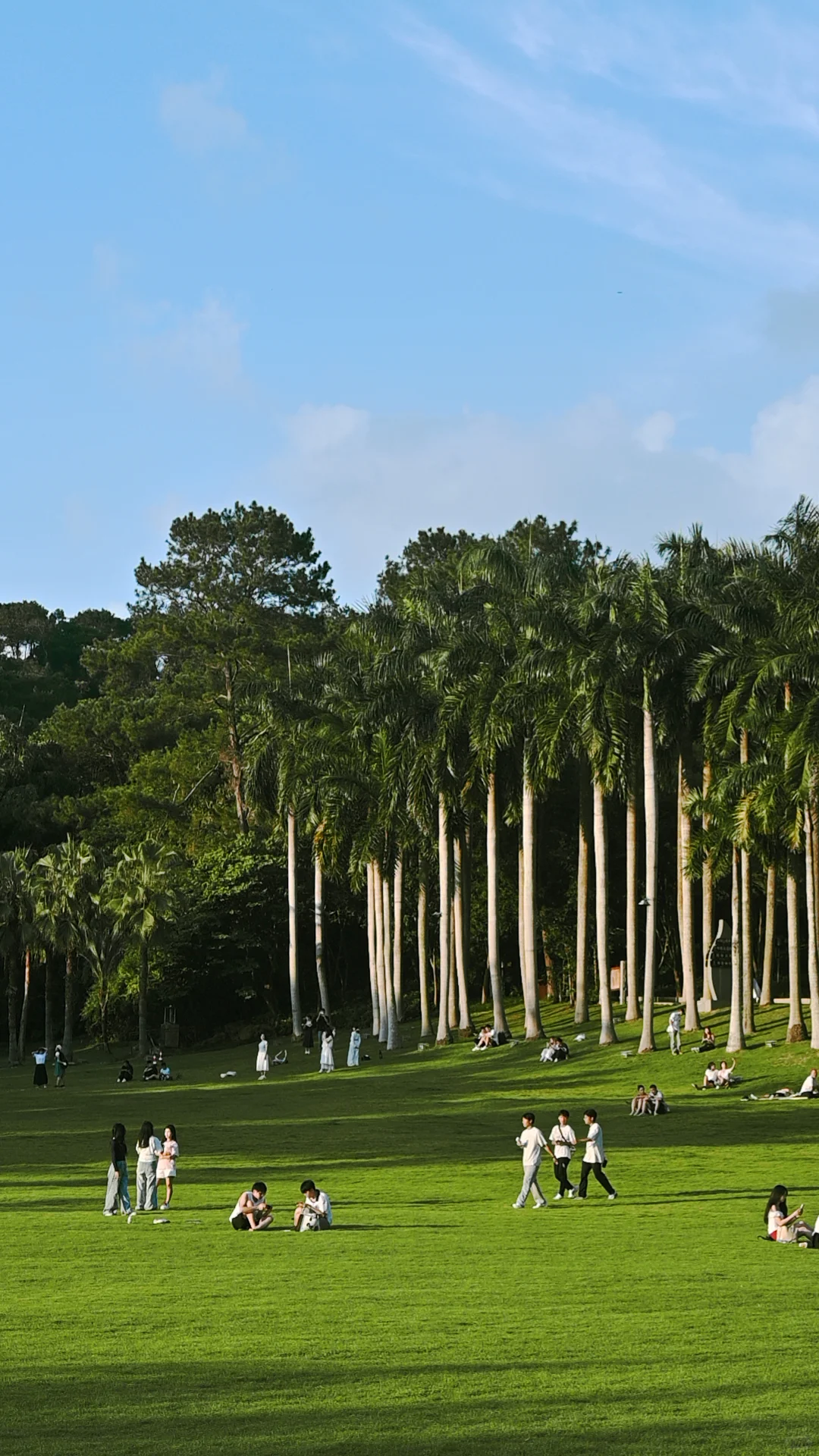 南宁｜🍃醒时见绿