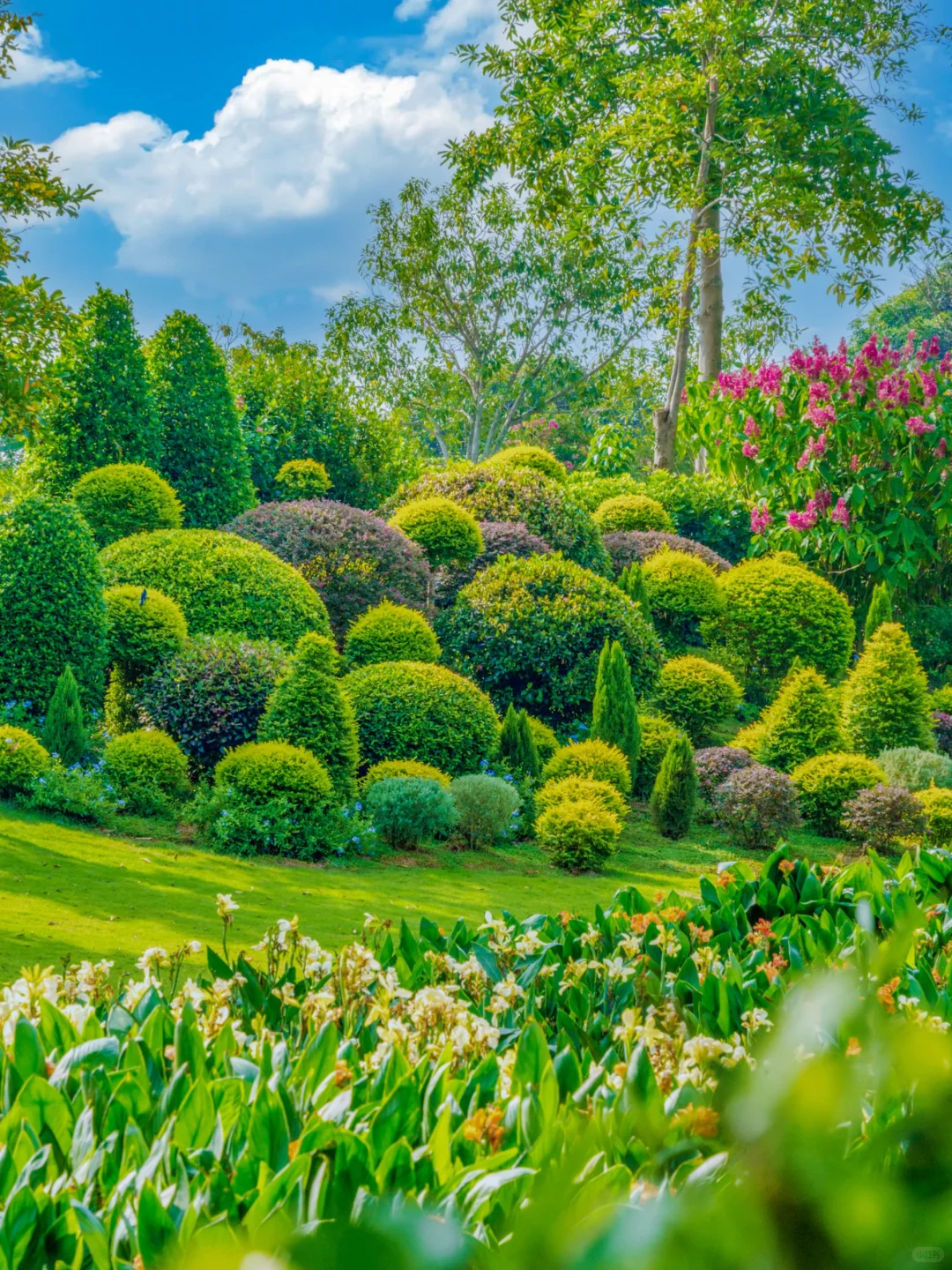 南宁青秀山最美季节！4小时不累腿路线来啦