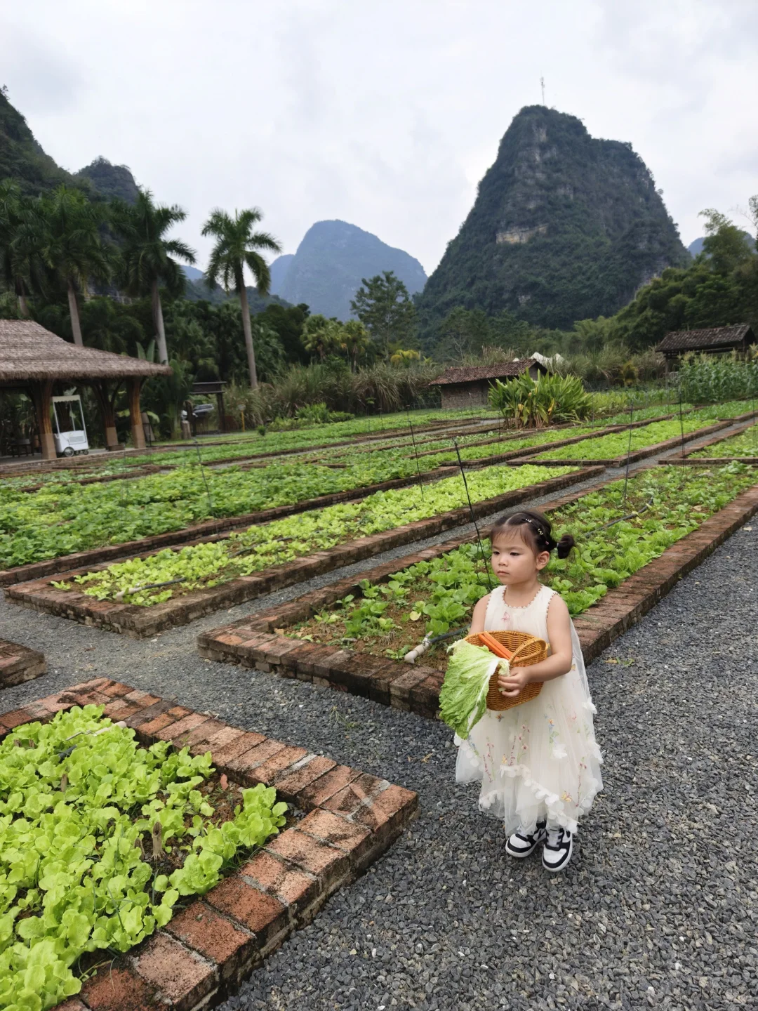 广西崇左4天3晚亲子游！