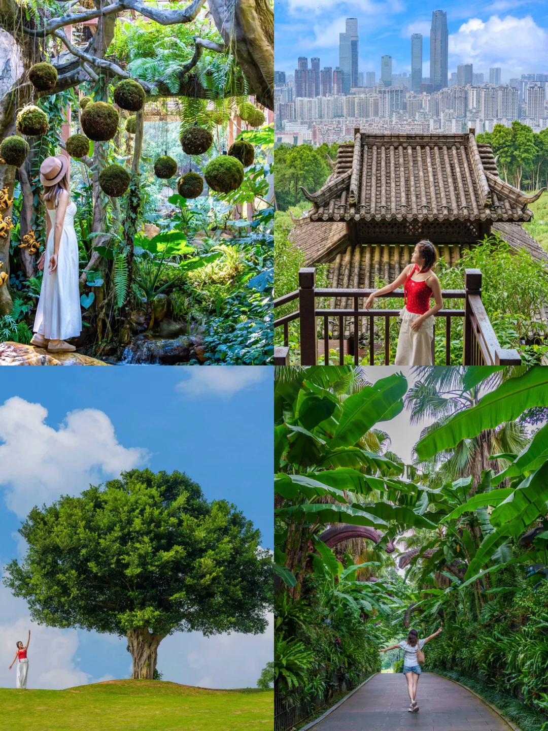 南宁青秀山最美季节！4小时不累腿路线来啦