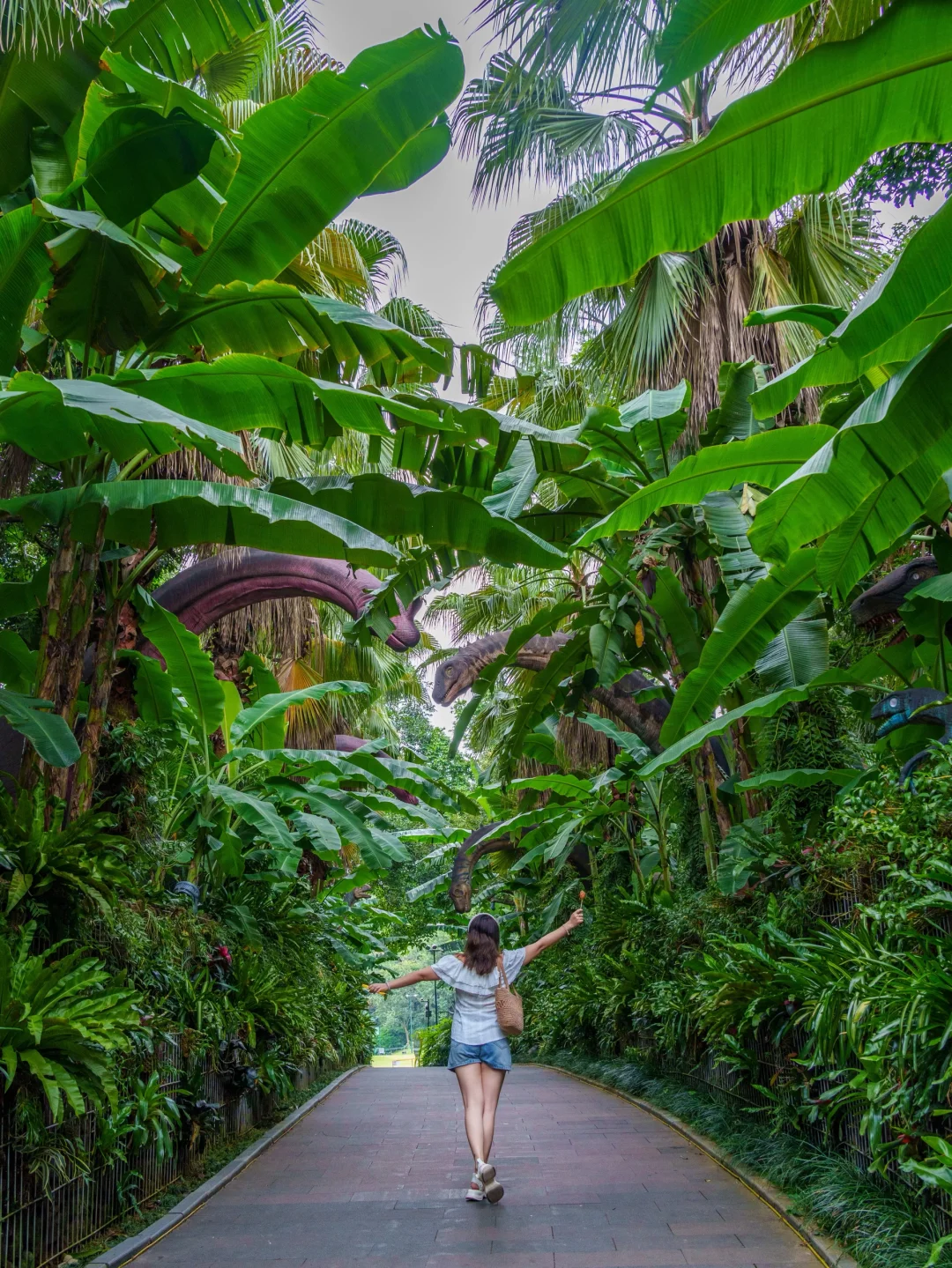 南宁青秀山最美季节！4小时不累腿路线来啦