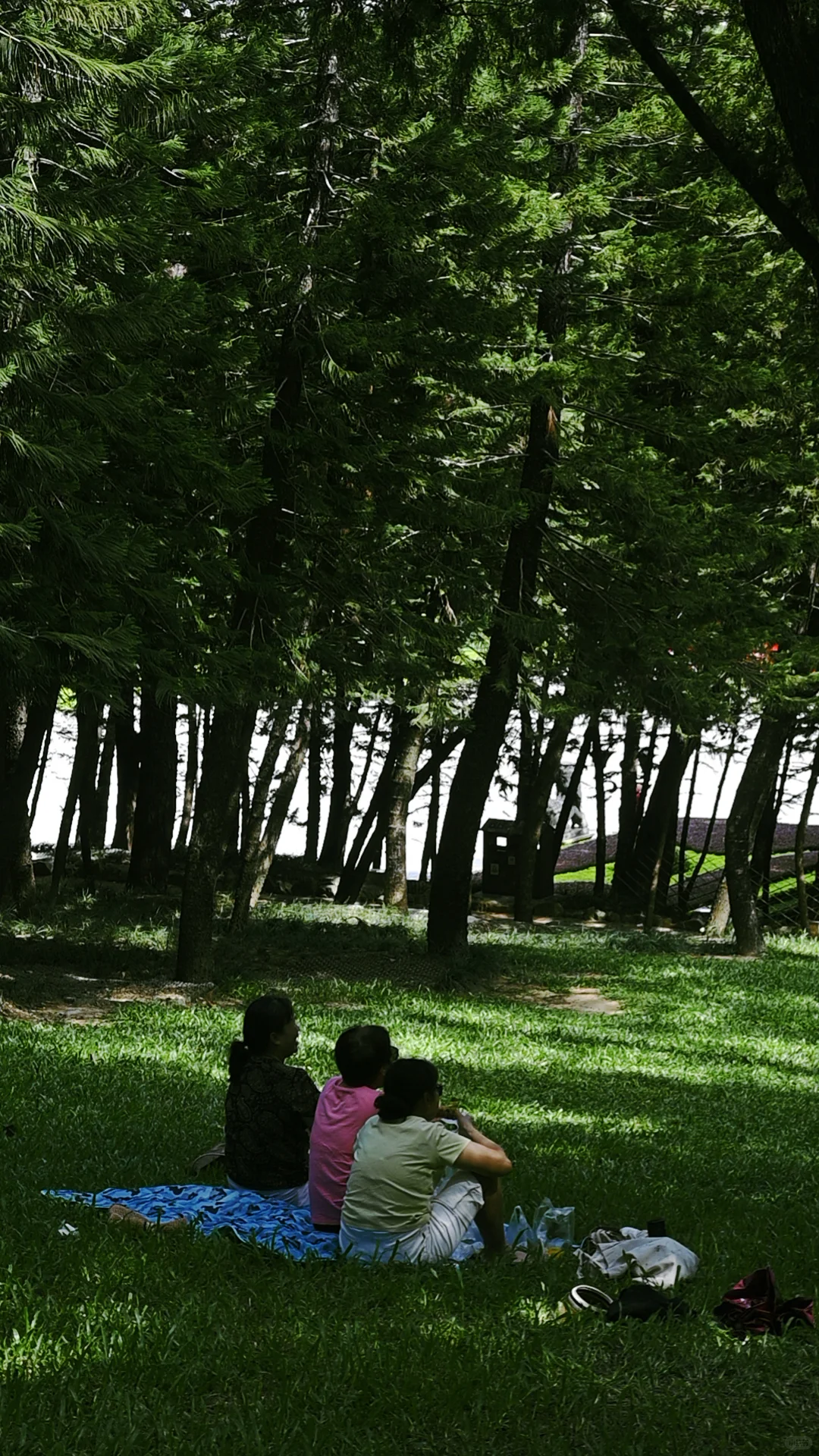 南宁｜🍃醒时见绿