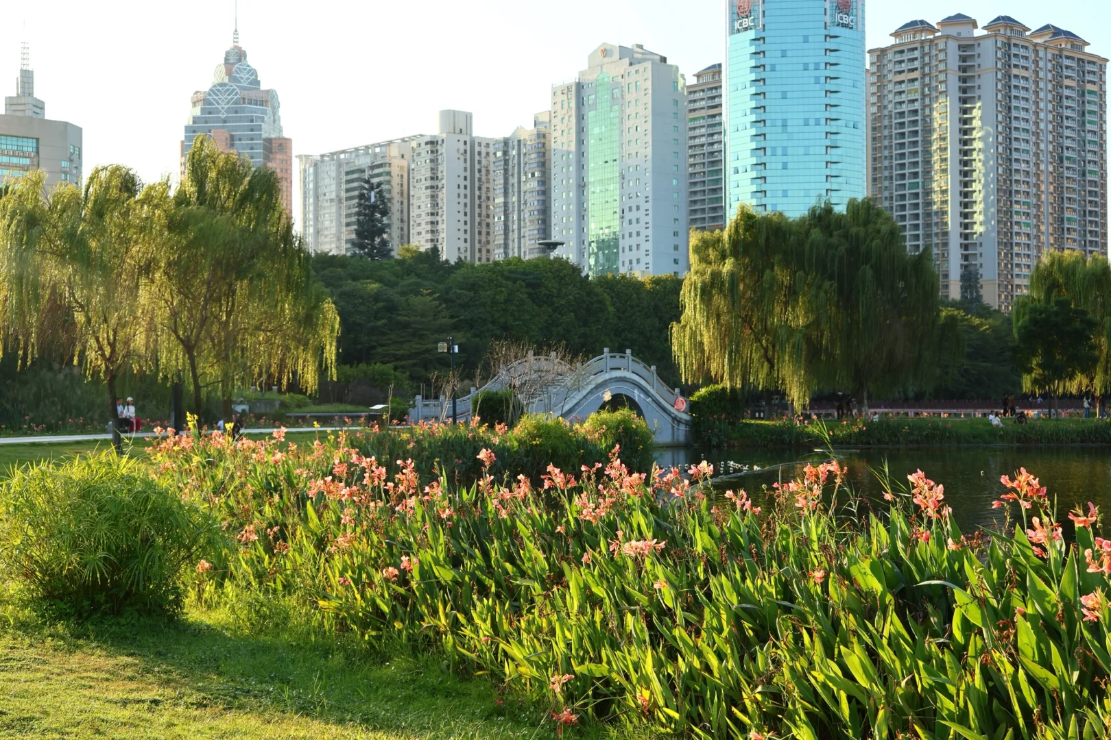 南宁这周的天气也太棒啦