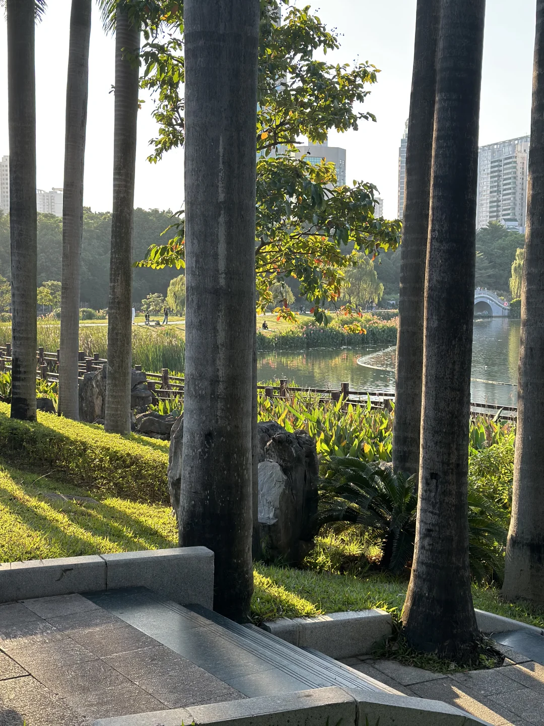 南宁这周的天气也太棒啦