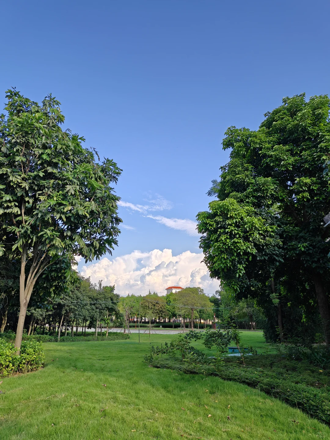 99%南宁人都不知道的📍邕江绿道终点