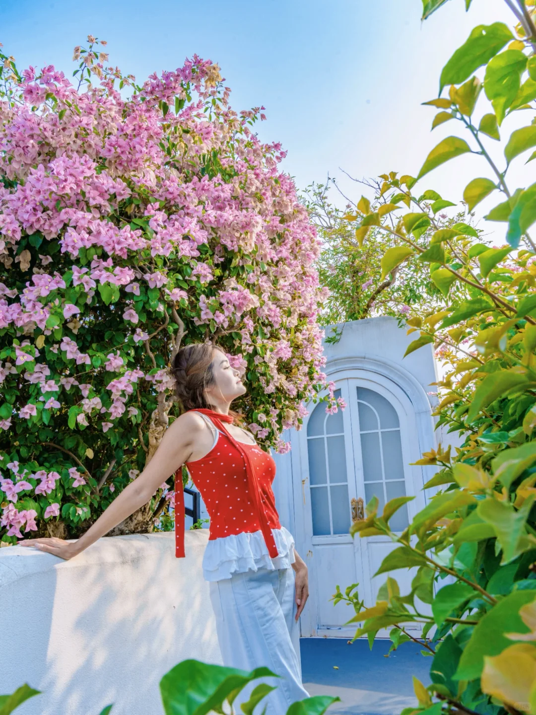 南宁青秀山最美季节！4小时不累腿路线来啦