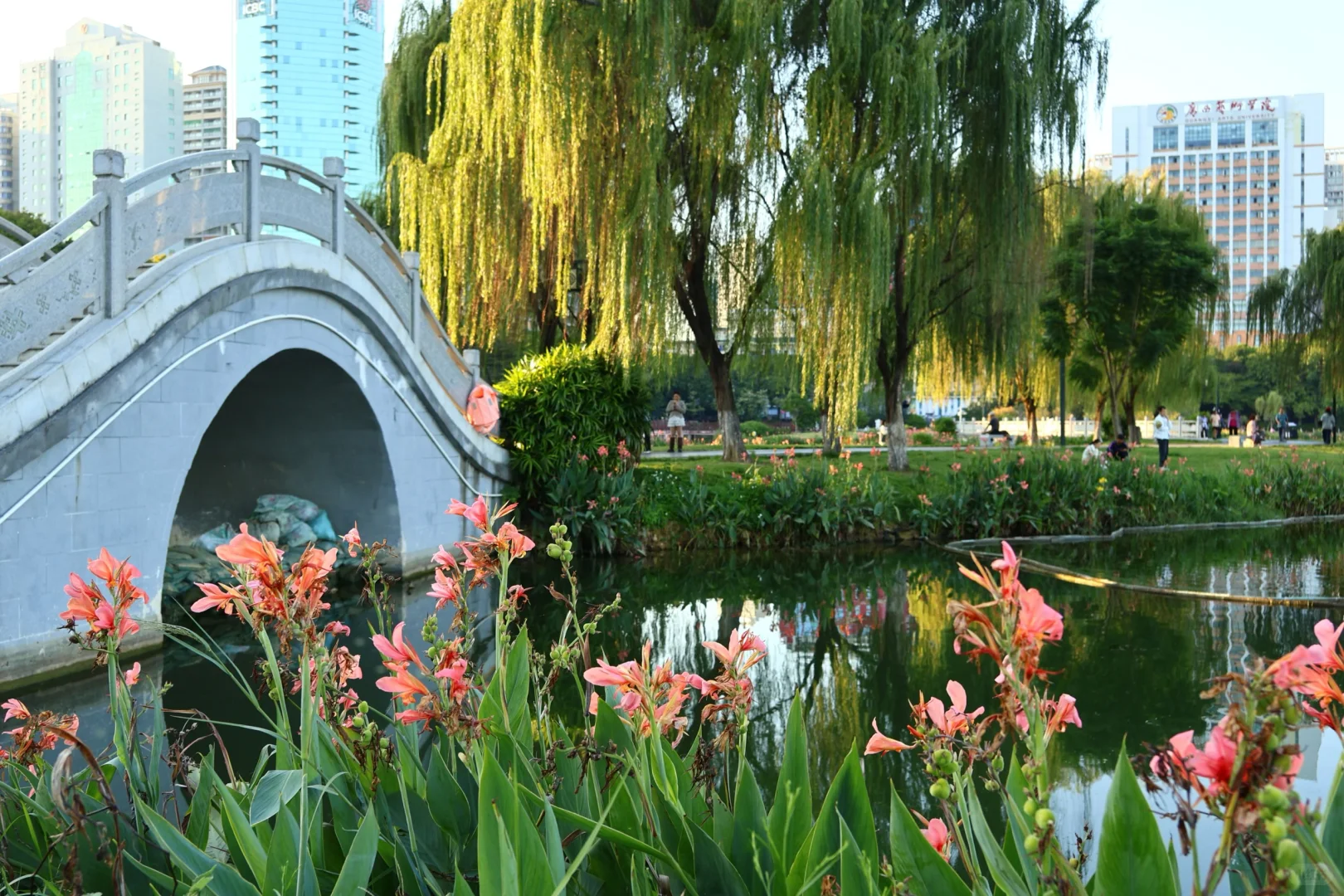 南宁这周的天气也太棒啦