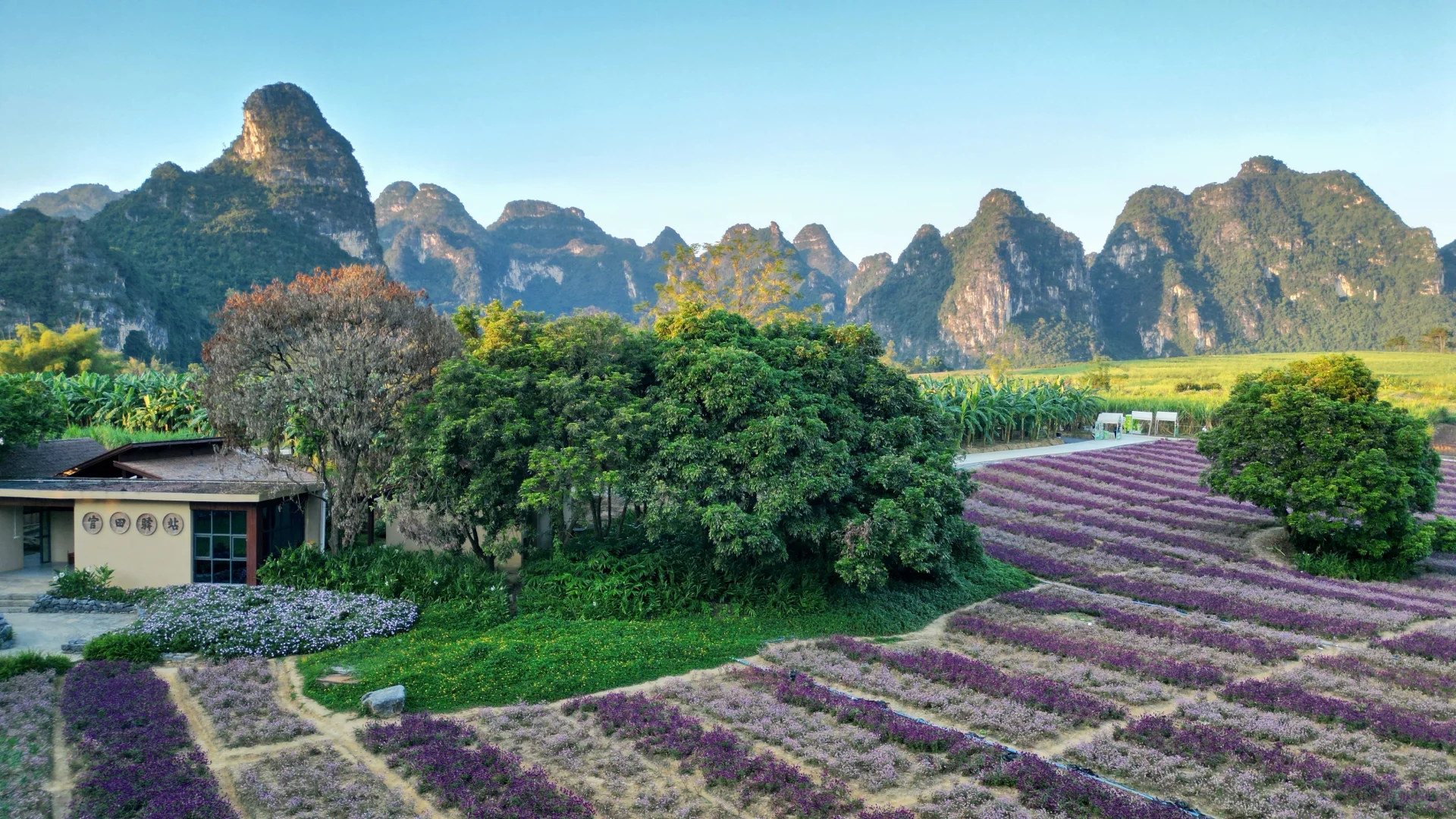 11/15 南宁 崇左 人间值得！（天气好版）