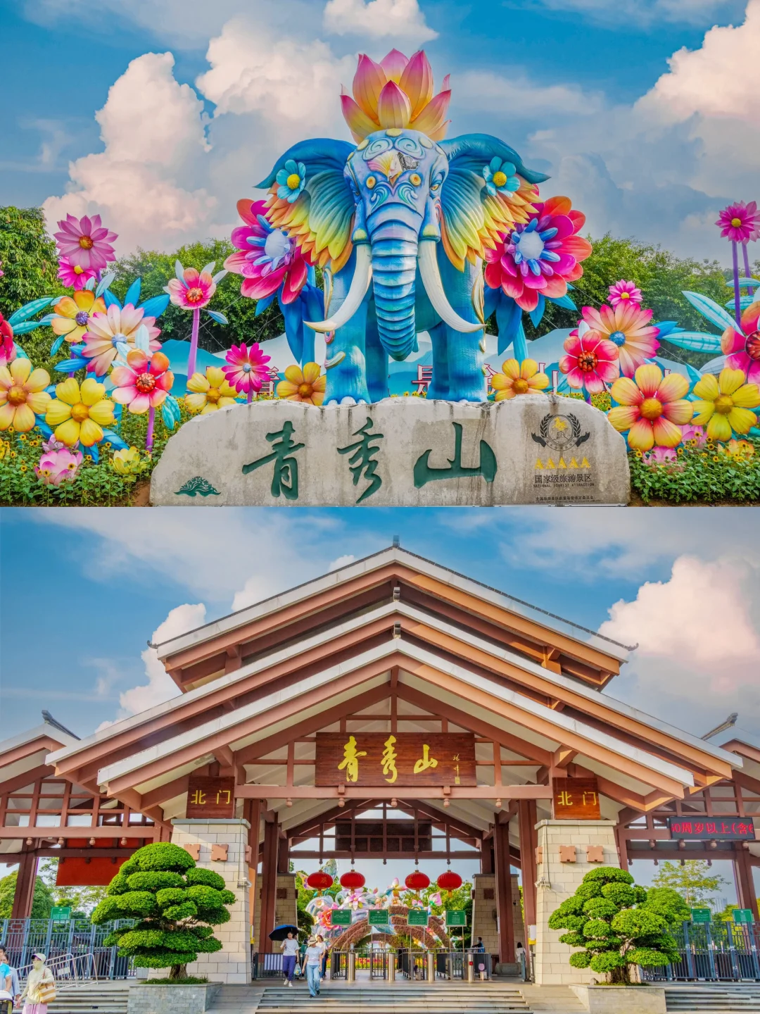 南宁青秀山最美季节！4小时不累腿路线来啦