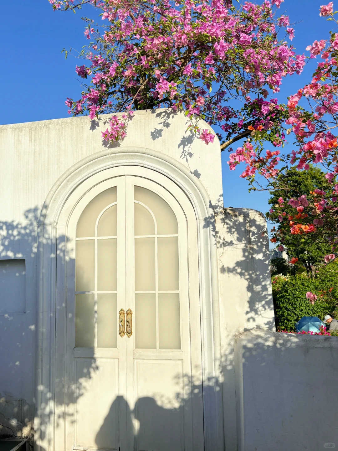 南宁青秀山🏔️