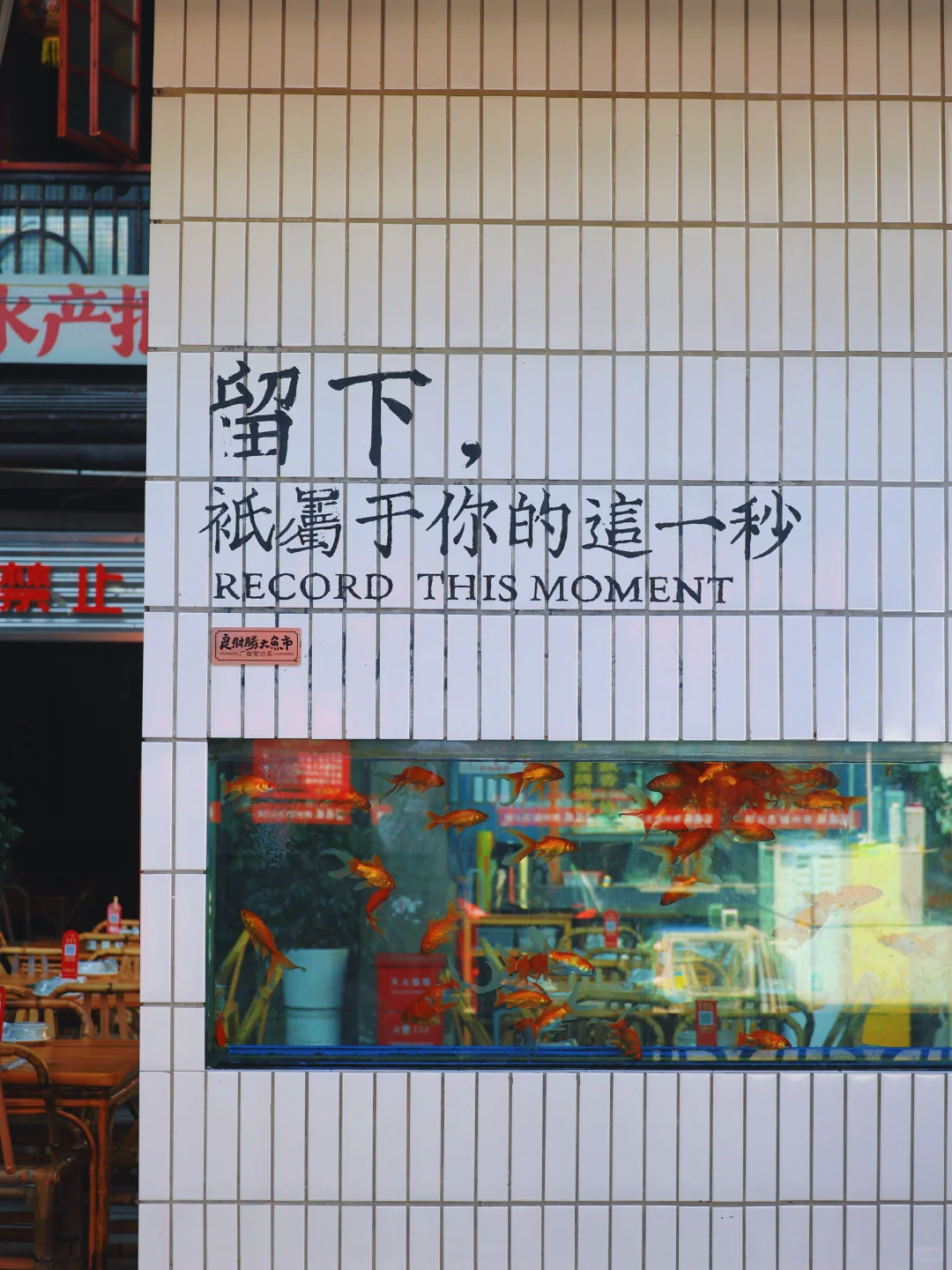 南宁旅游 | 被严重低估的宝藏首府