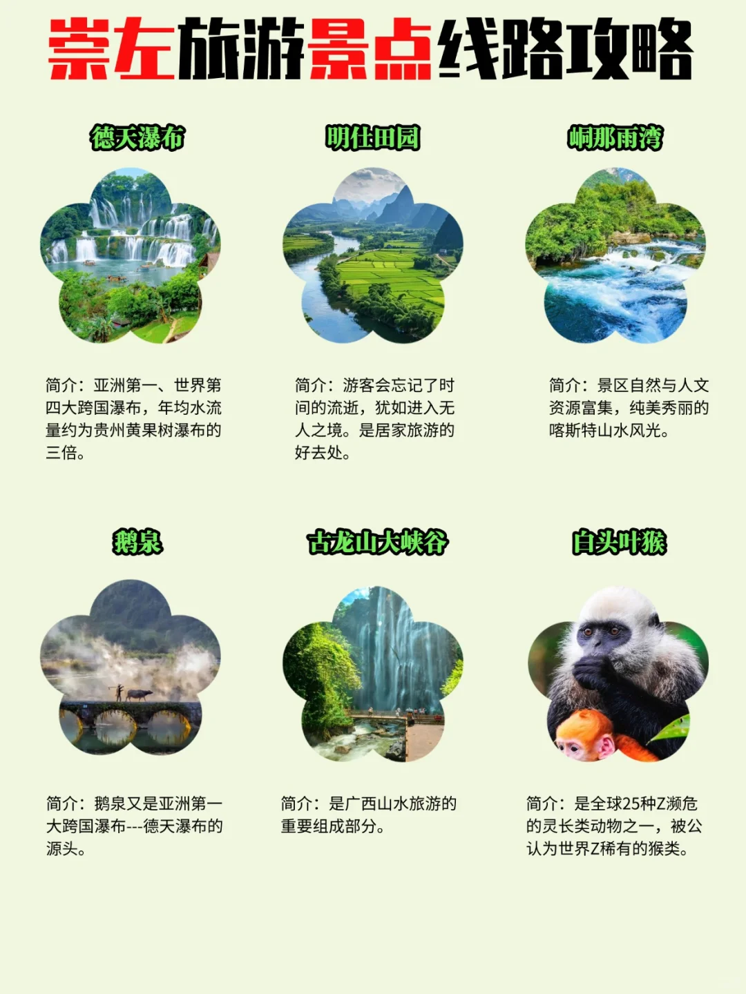 崇左3-5天旅游线路攻略‼️包车定制指南