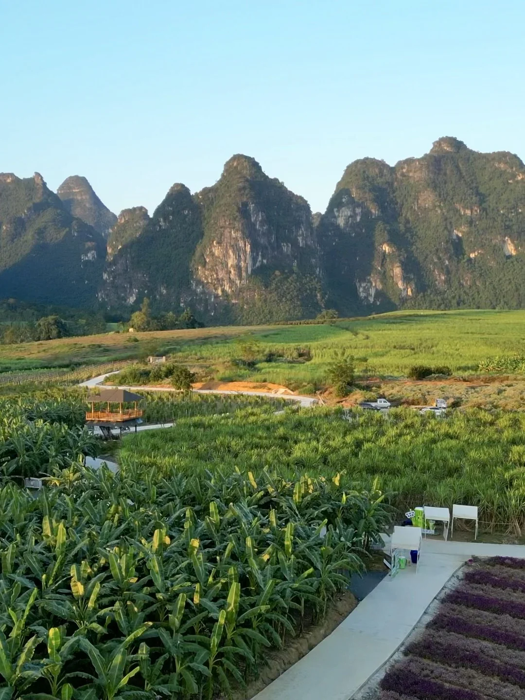 11/15 南宁 崇左 人间值得！（天气好版）