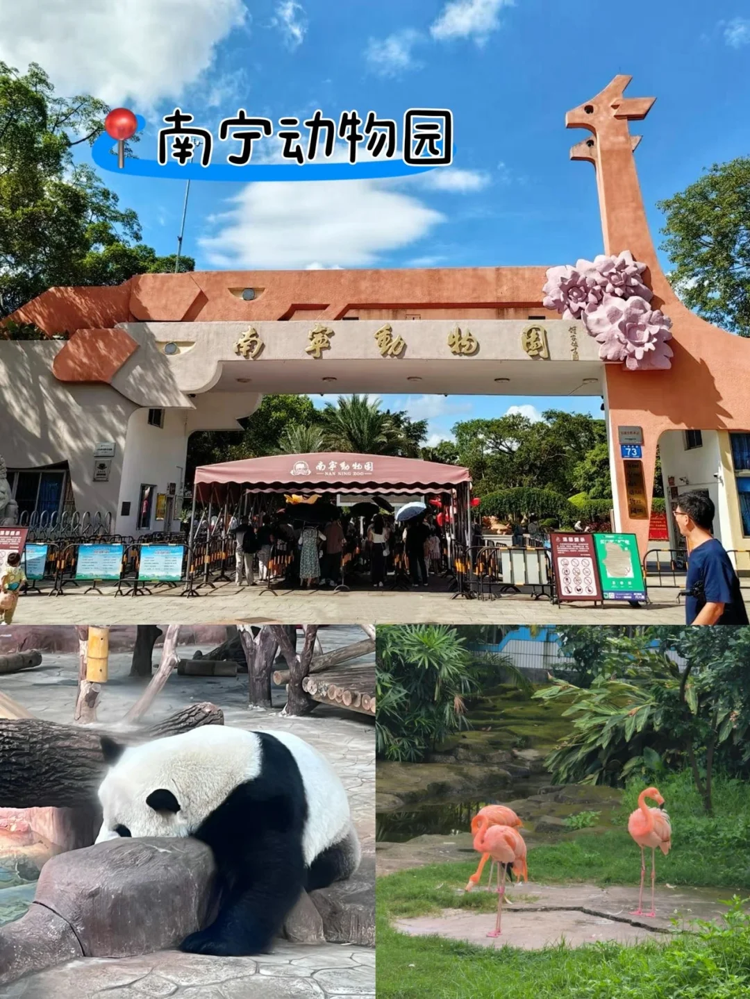 南宁地铁直达🚇本地整理✔️南宁旅游攻略