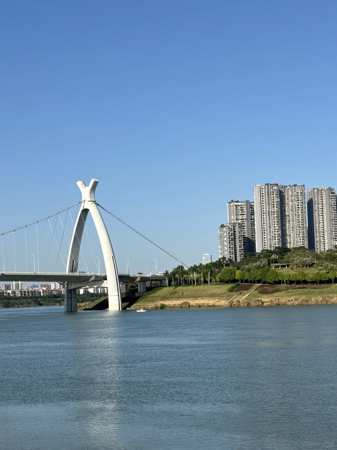 南宁看“海”新地图🗺️