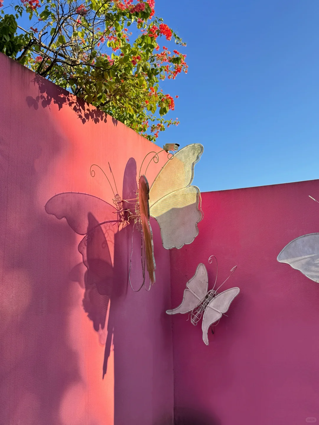 南宁青秀山🏔️