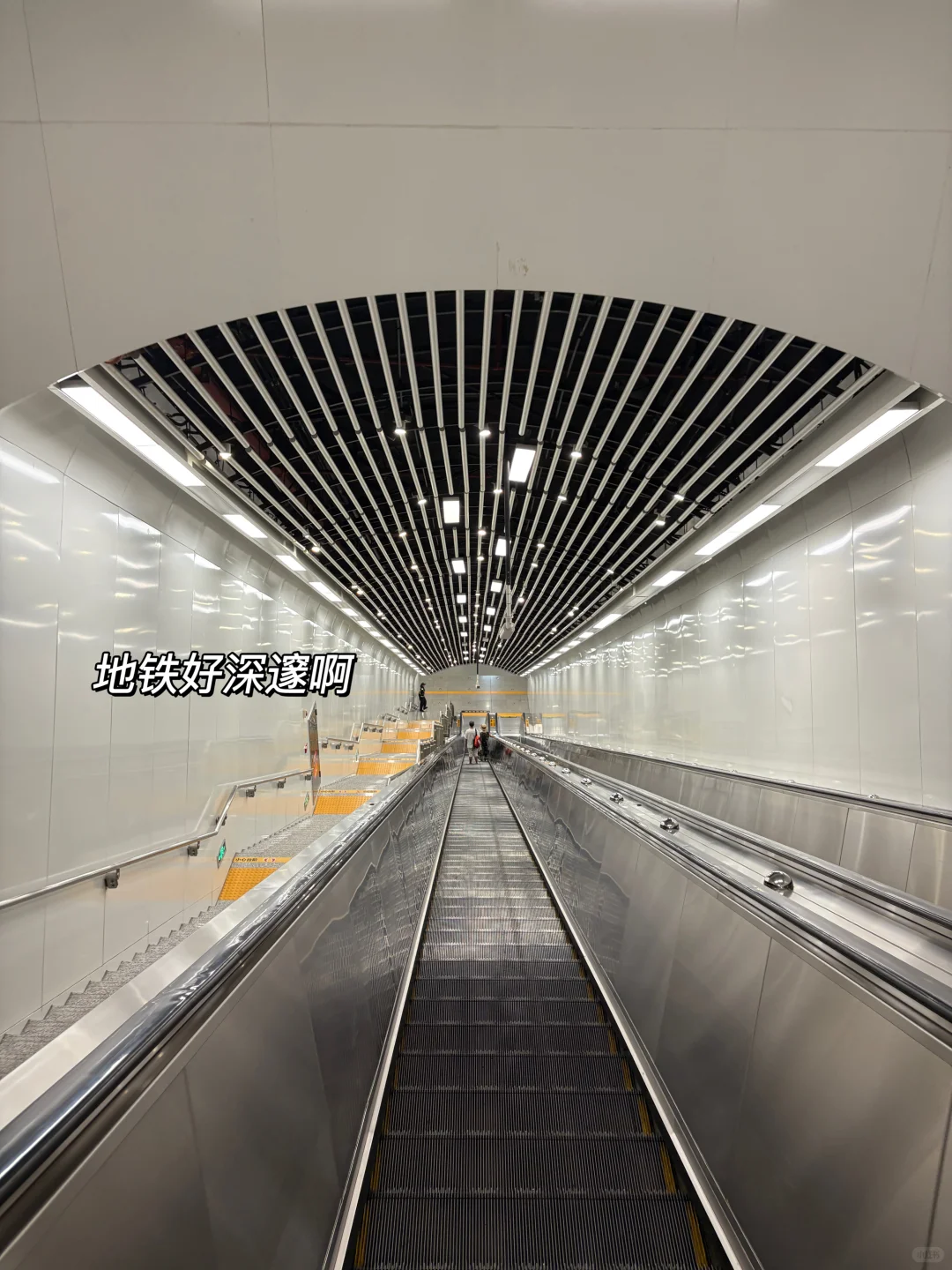 南宁旅游 | 被严重低估的宝藏首府