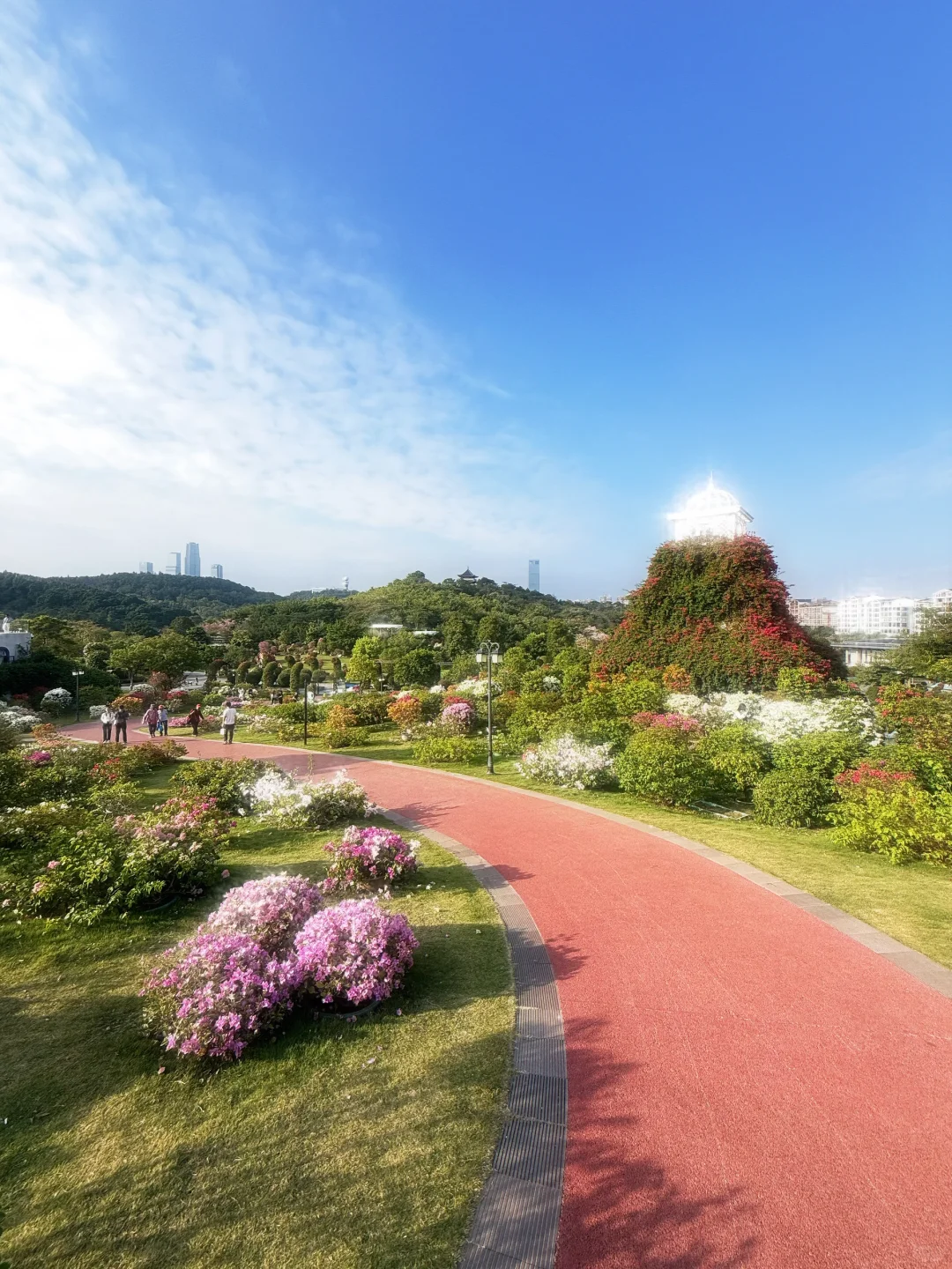 好羡慕南宁人 秋天的花海在发光