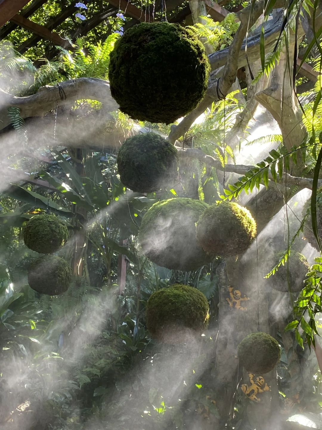 南宁可太好玩啦