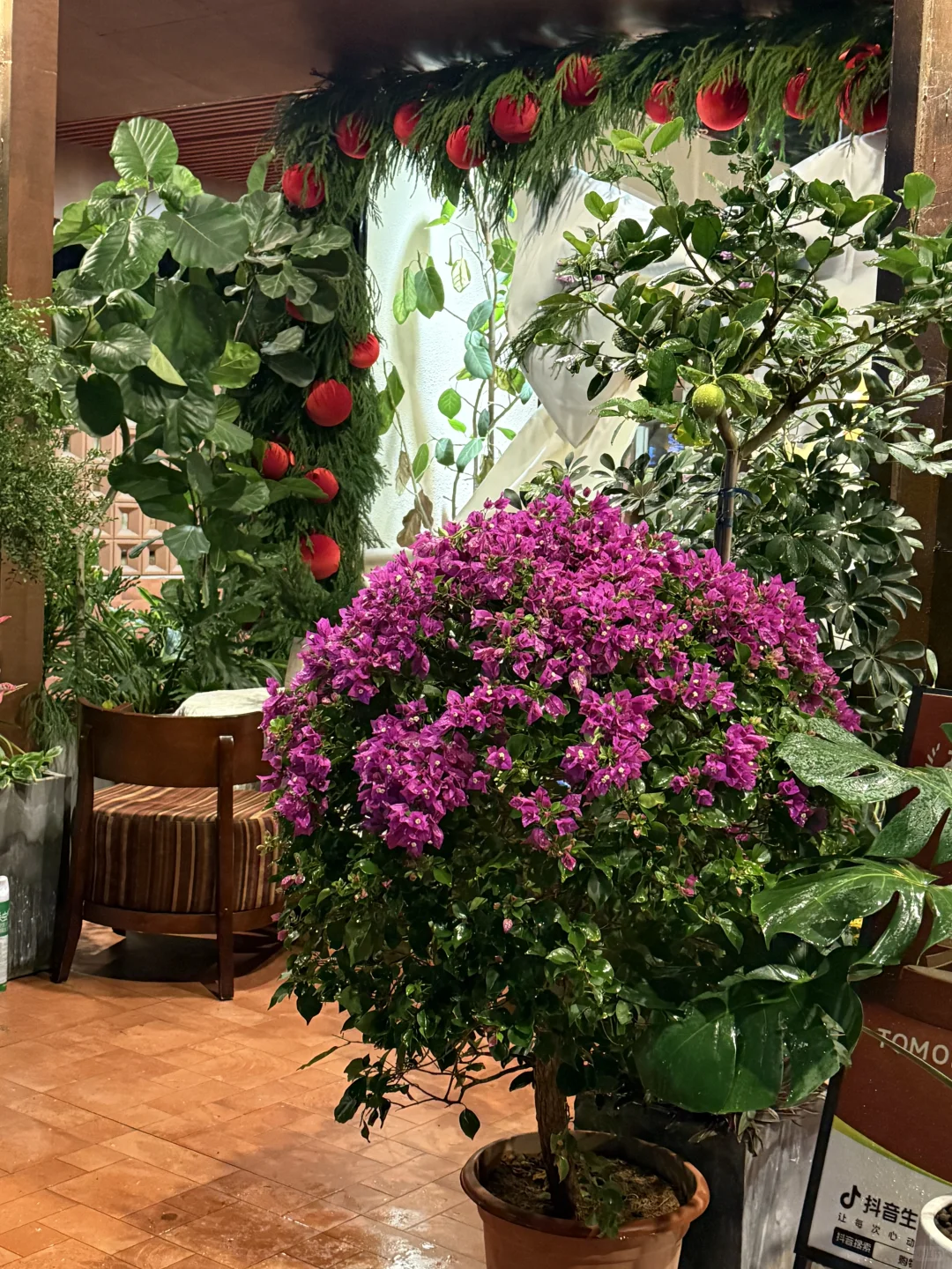 南宁的 提前过圣诞🎄