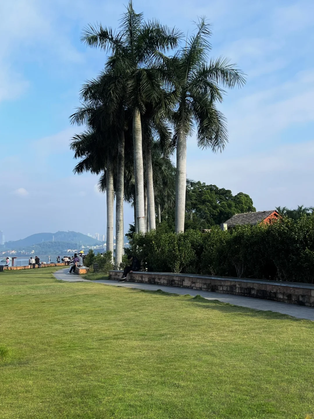 南宁！又发现了一个绝美公园
