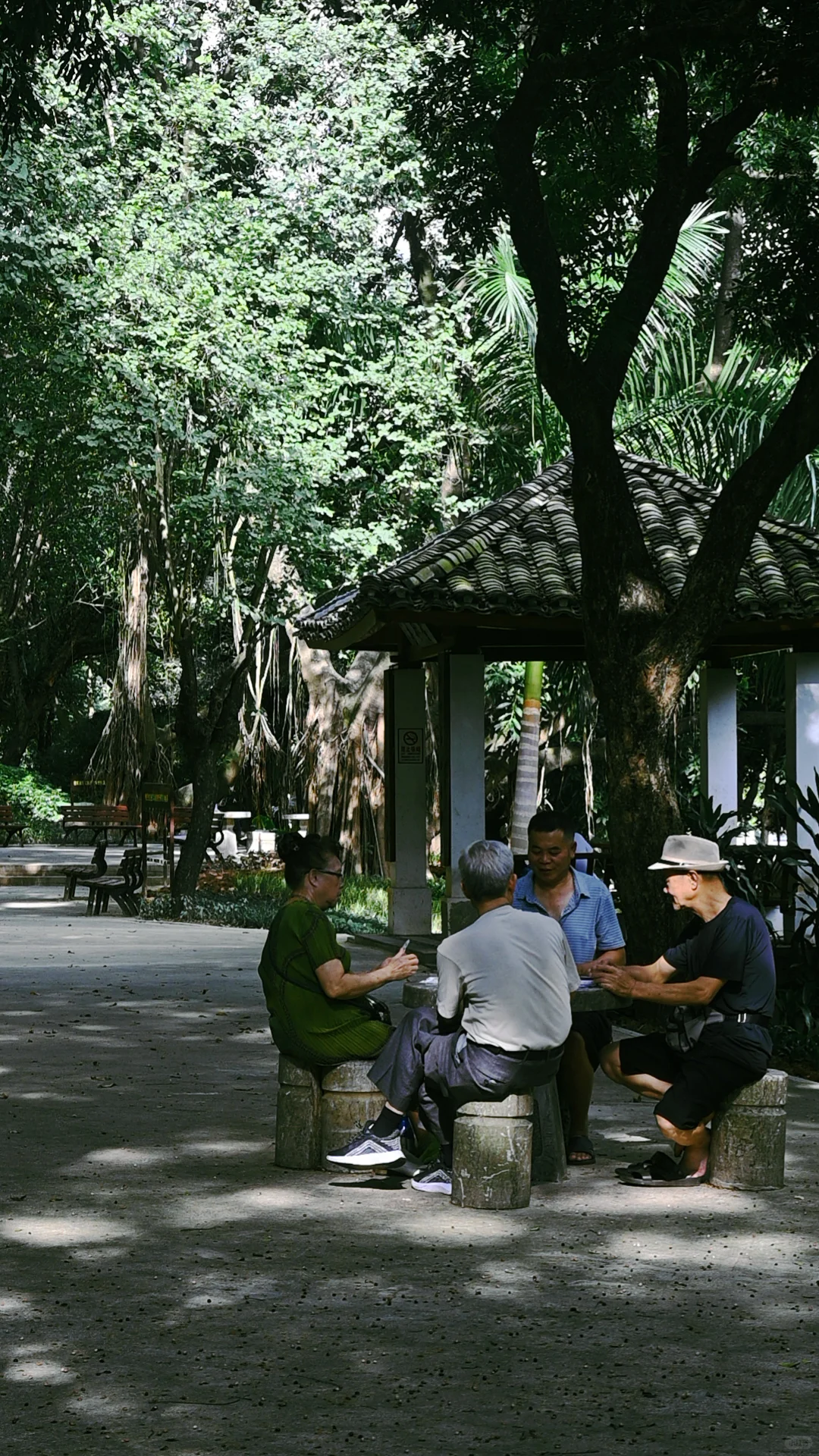 南宁｜🍃醒时见绿