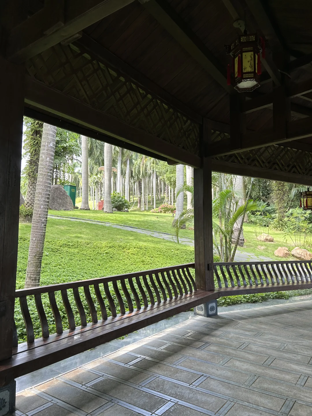 南宁要进入最佳赏味期了