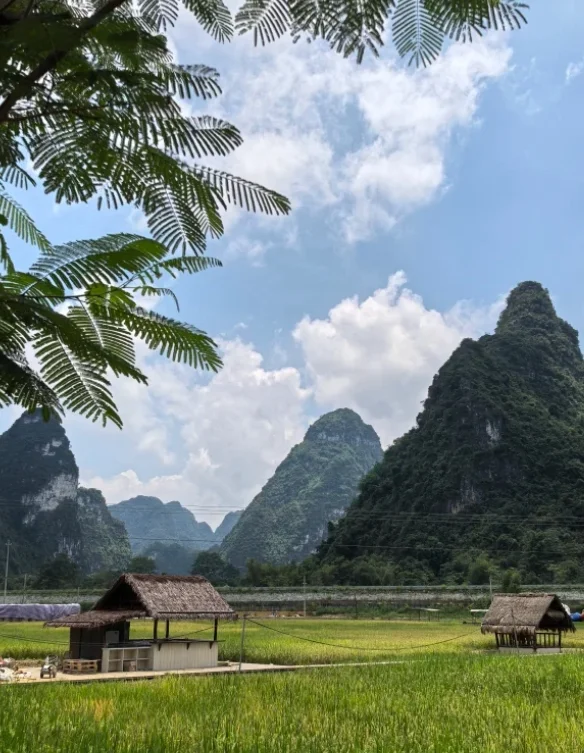 亲子游去崇左游玩指南🔎攻略很是满意！