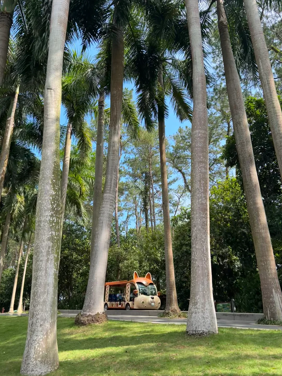 南宁要进入最佳赏味期了