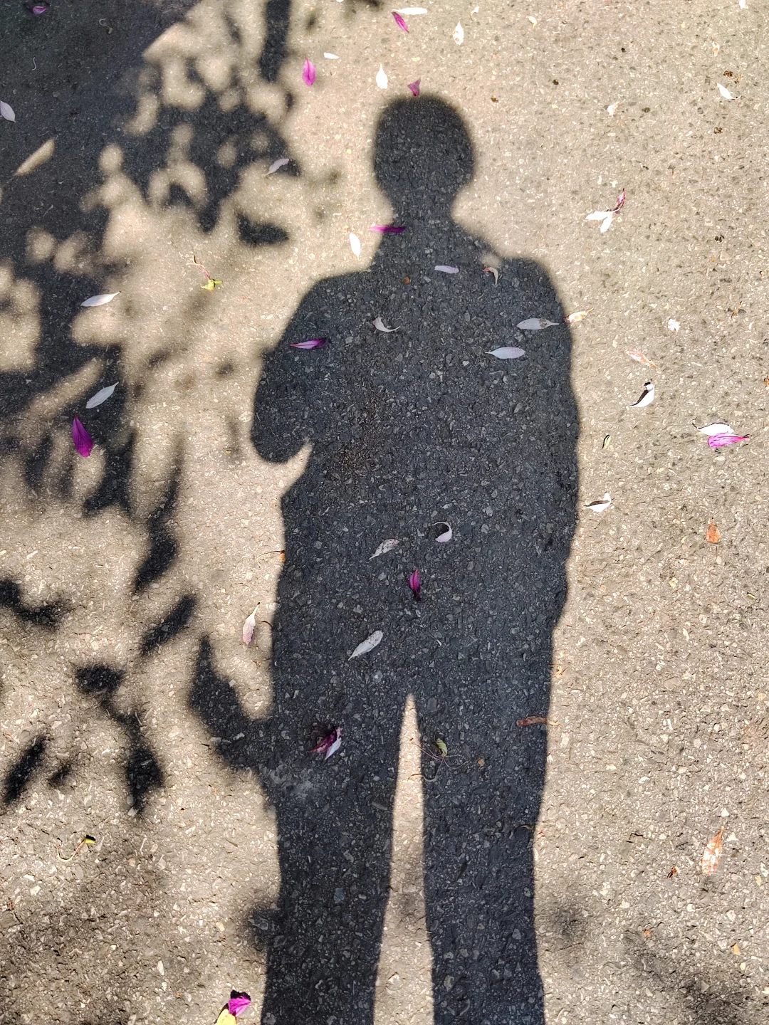 这是被踢出了冬天朋友圈的南宁现状[呲牙]。