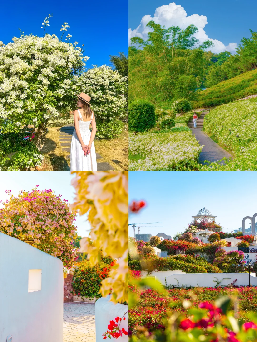 南宁青秀山最美季节！4小时不累腿路线来啦