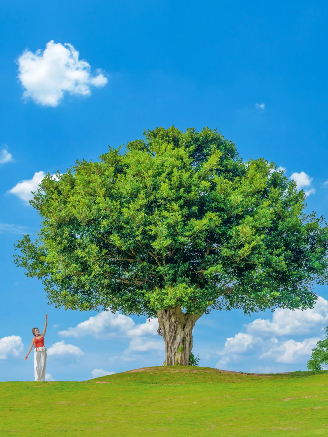 南宁青秀山最美季节！4小时不累腿路线来啦