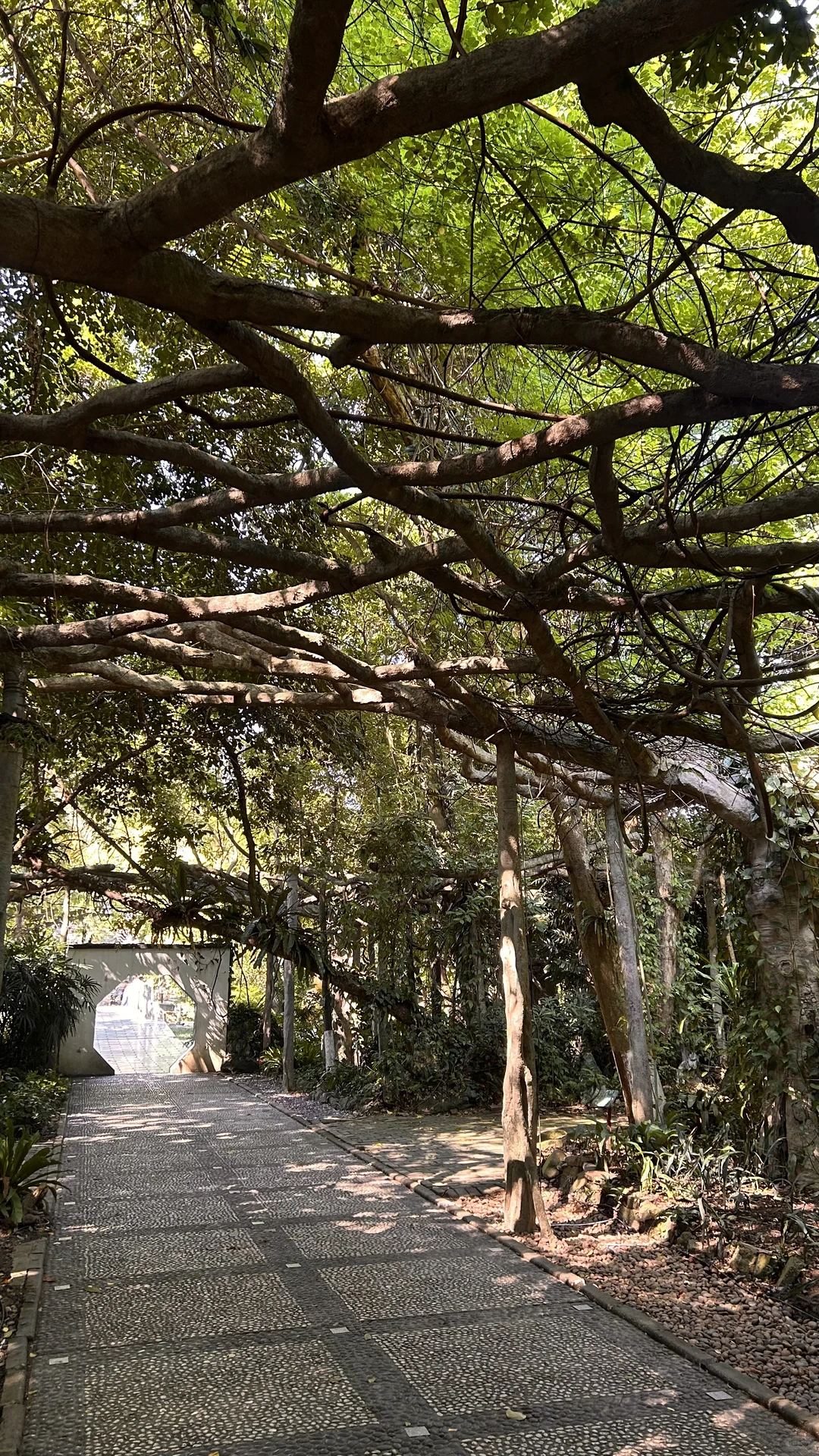 南宁这么好的天气该出去逛逛啦