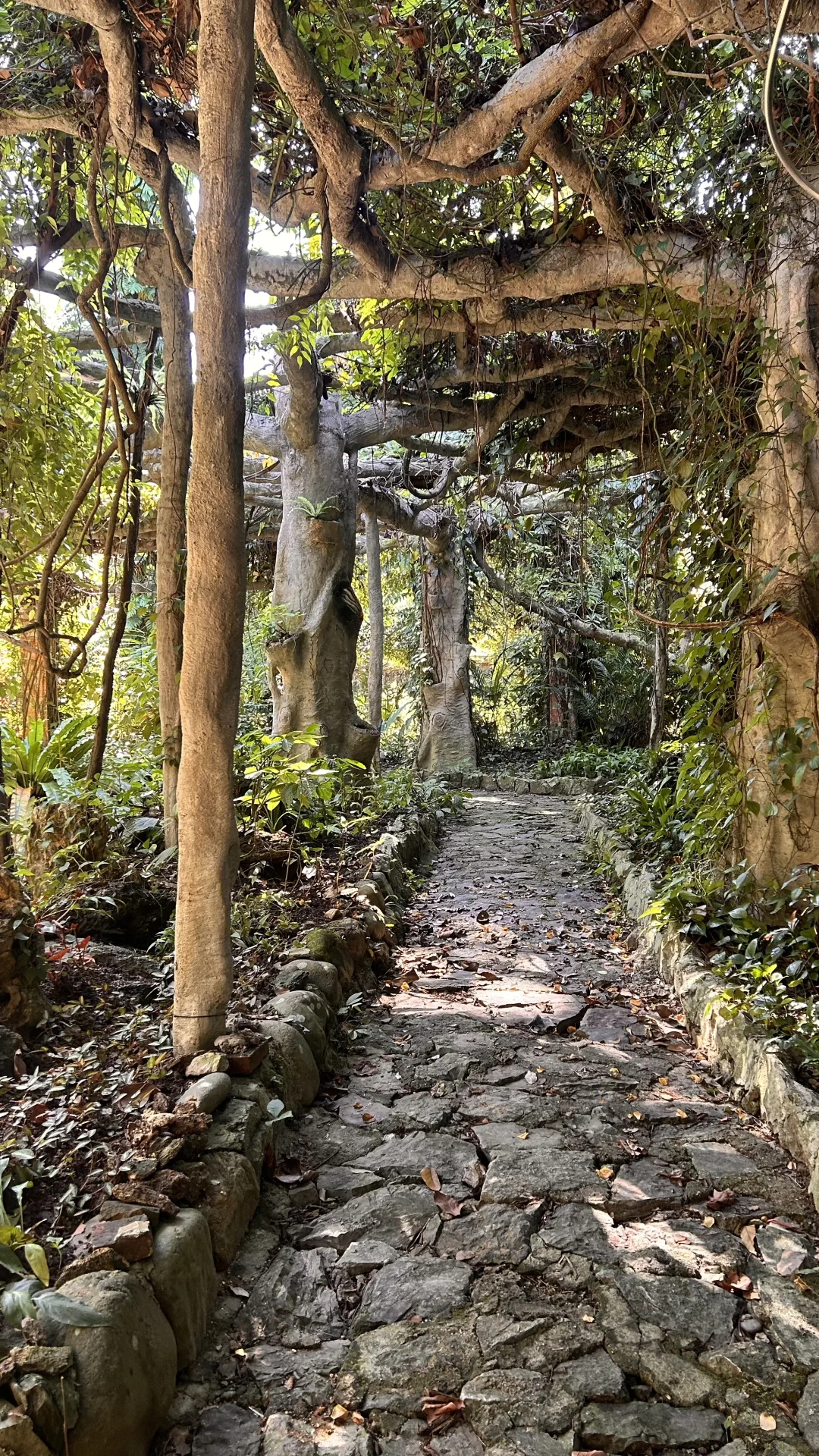 南宁这么好的天气该出去逛逛啦