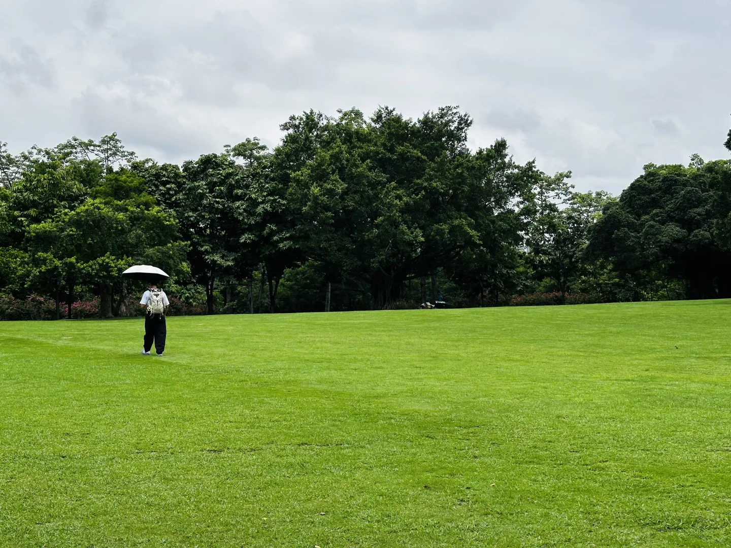 南宁的园子我太喜欢了