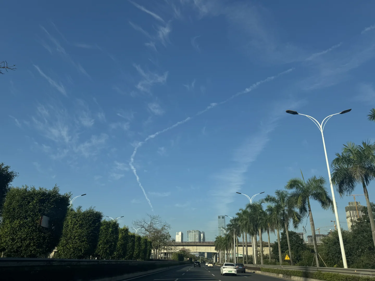 今天早上南宁的天空出现了翅膀云