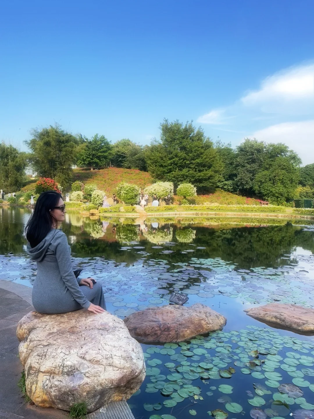 好羡慕南宁人 秋天的花海在发光