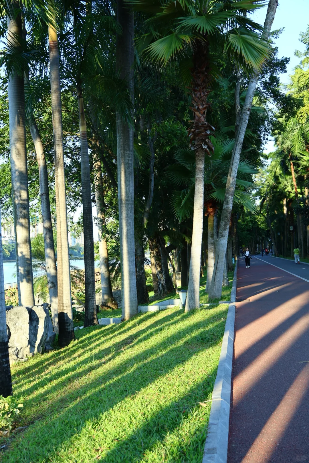 南宁这周的天气也太棒啦