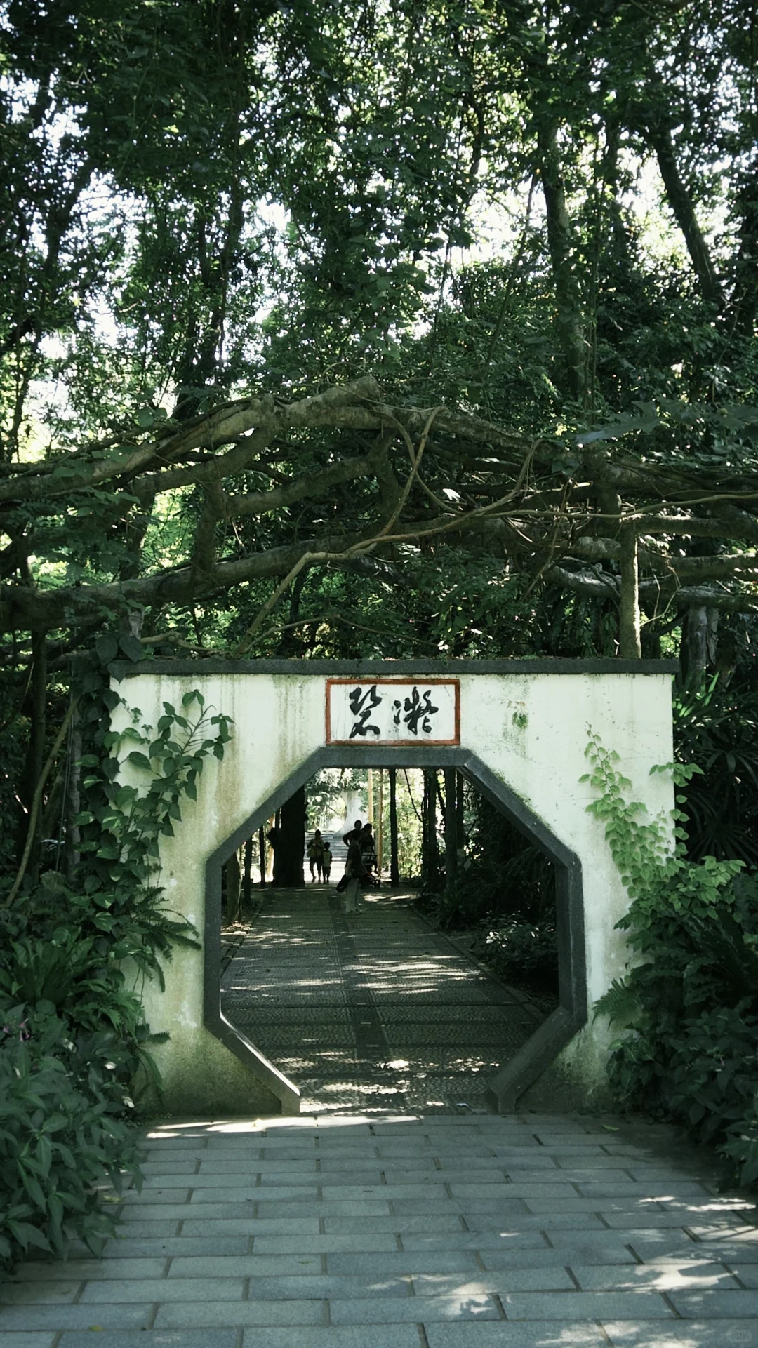 南宁这么好的天气该出去逛逛啦