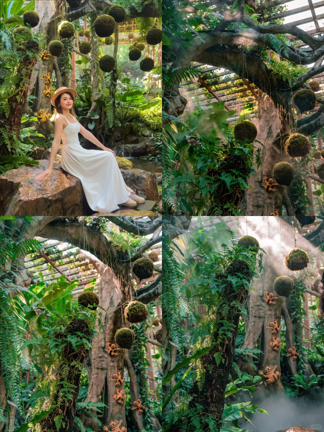 南宁青秀山最美季节！4小时不累腿路线来啦