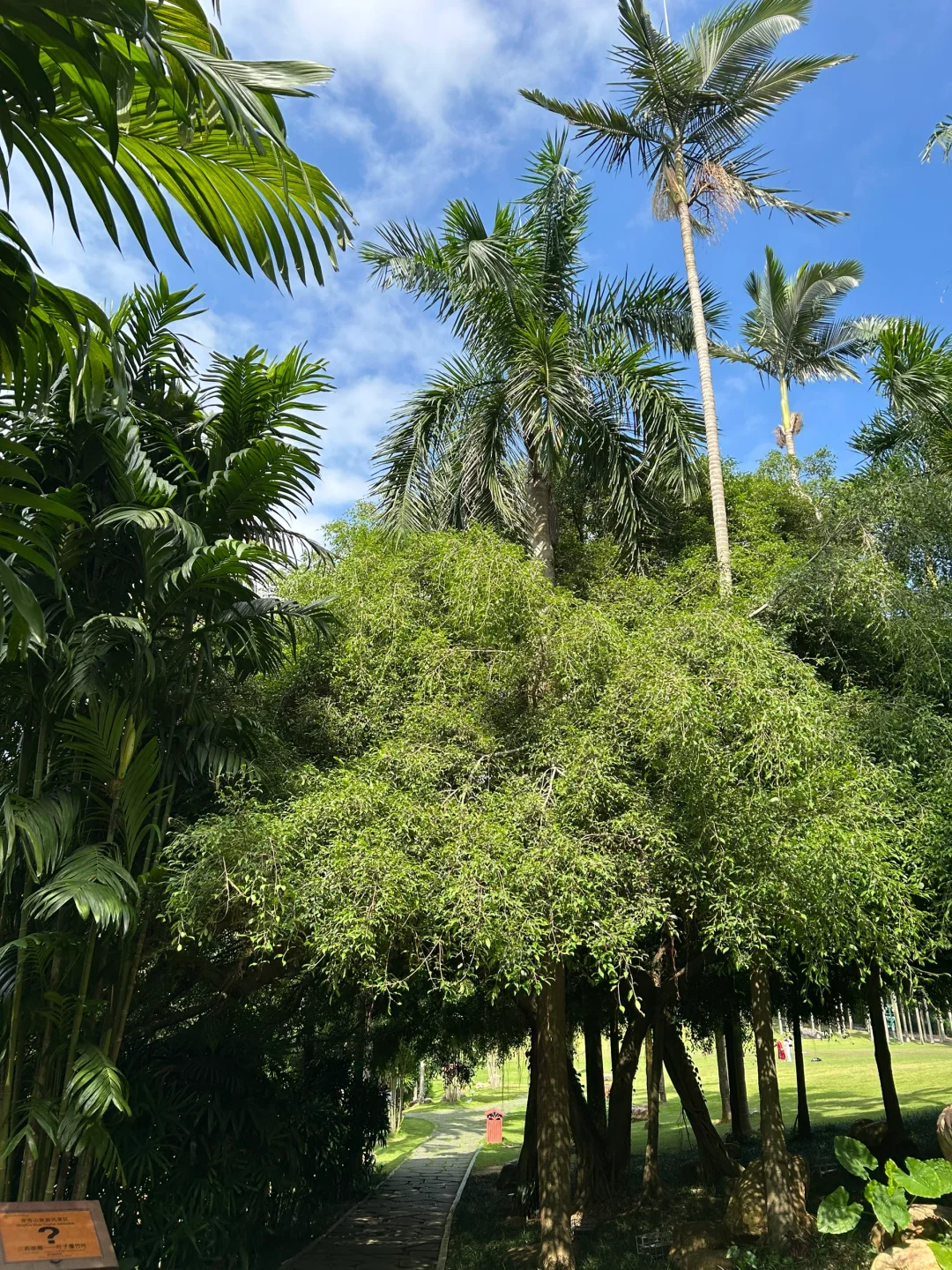 南宁要进入最佳赏味期了